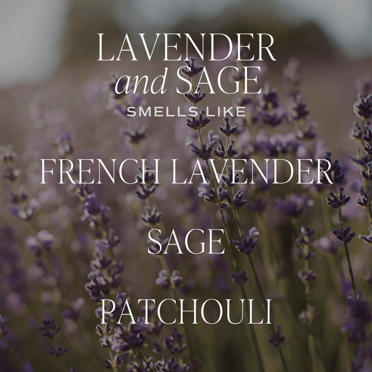 Lavender and Sage Tinted Glass Jar Reed Diffuser