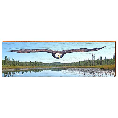 Flying Bald Eagle in Grafton Illinois Sign Home Decor Art Print on Real Wood