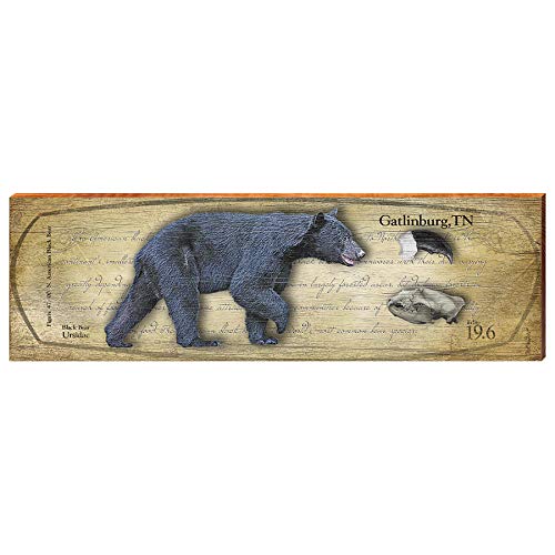 Black Bear, Gatlinburg, Tennessee Wooden Sign | Wall Art Print on Real Wood 