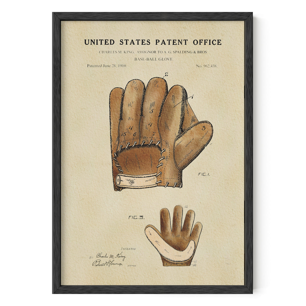 Baseball Glove