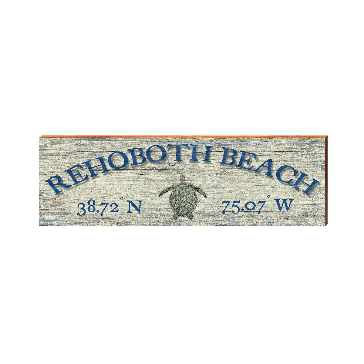 Rehoboth Beach Sea Turtle White Latitude Longitude | Wall Art Print on Real Wood