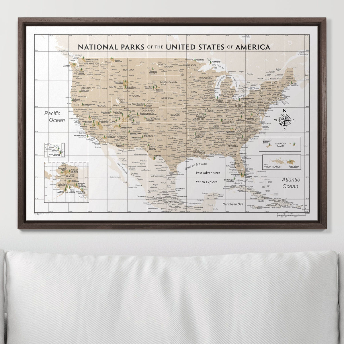 Push Pin National Parks Map - Light Brown Color Splash - Pins Included!