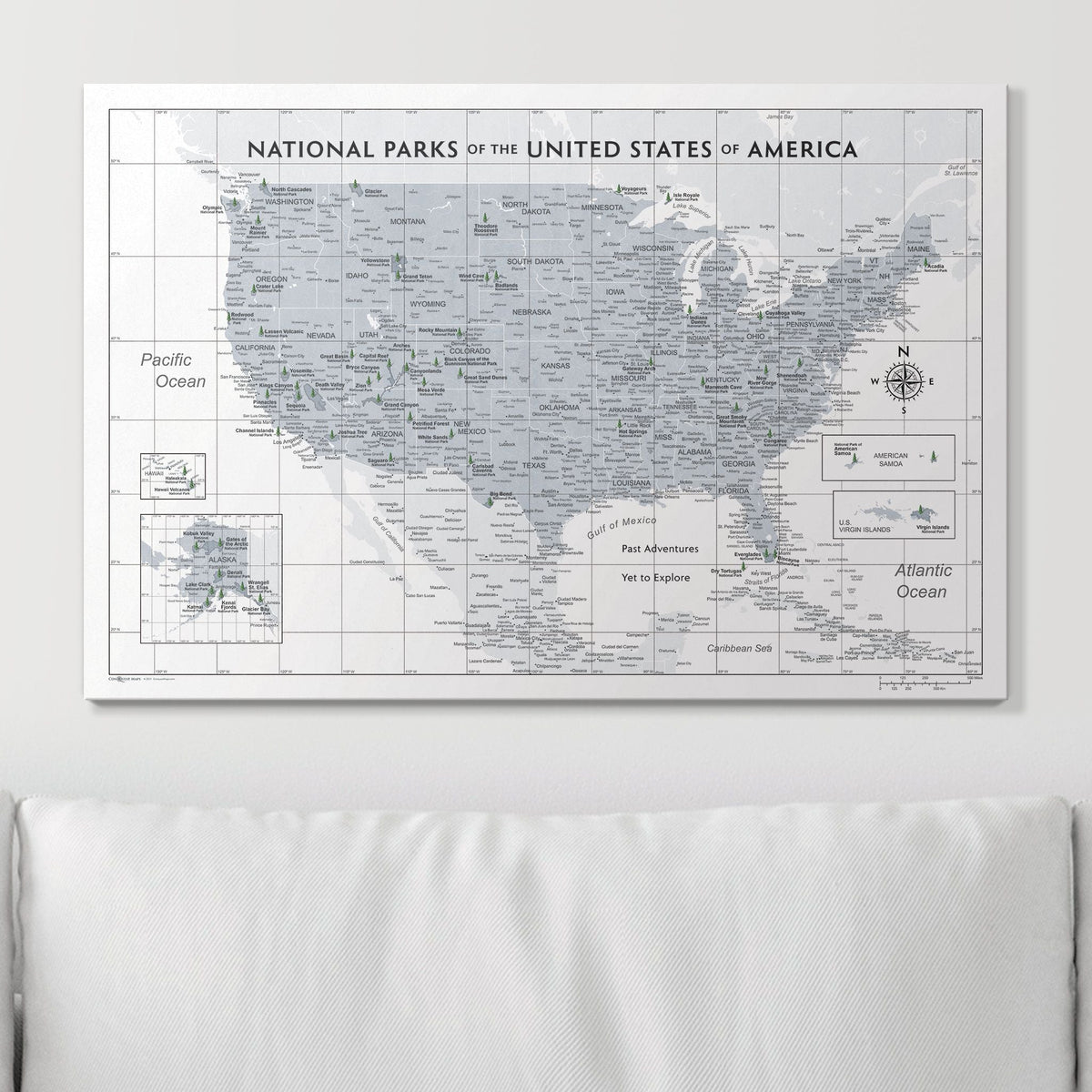 Push Pin National Parks Map - Light Gray Color Splash - Pins Included!