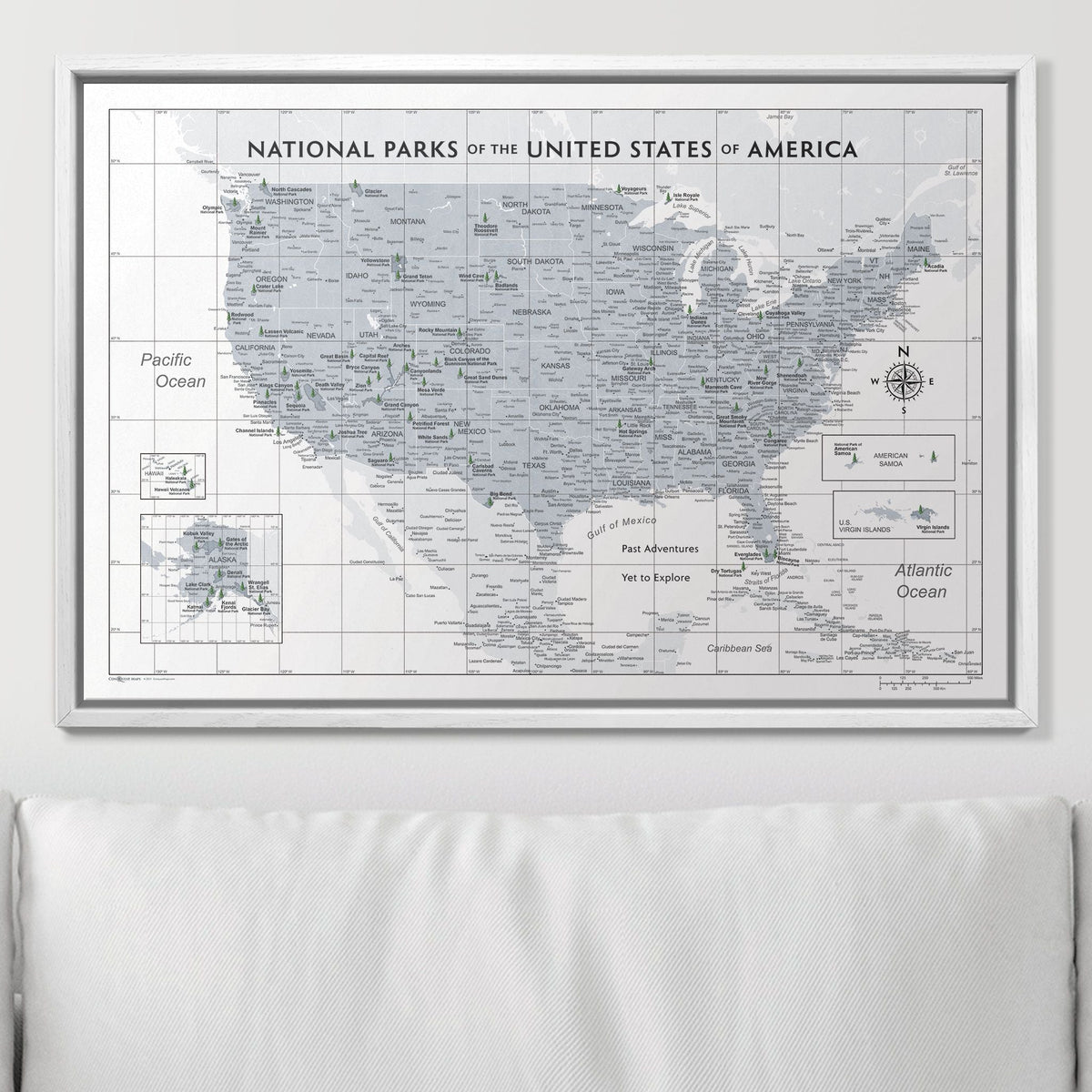 Push Pin National Parks Map - Light Gray Color Splash - Pins Included!