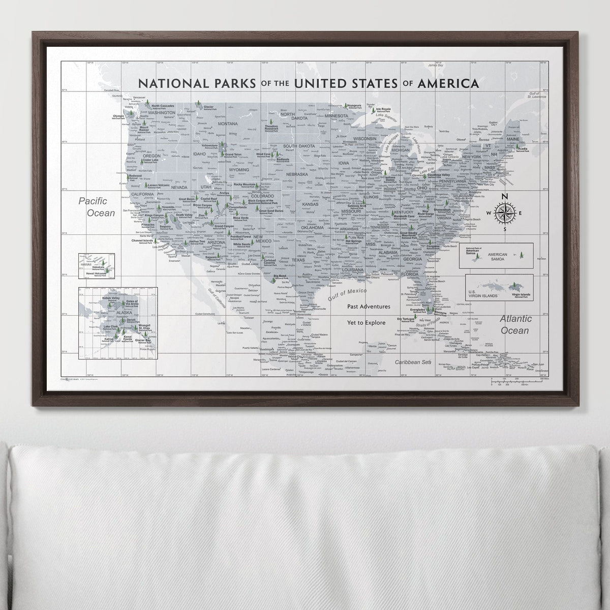 Push Pin National Parks Map - Light Gray Color Splash - Pins Included!