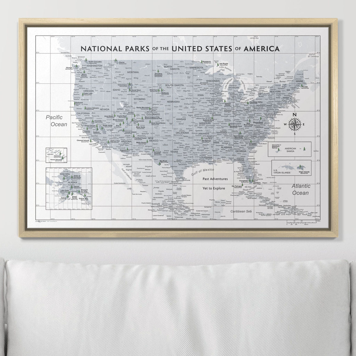 Push Pin National Parks Map - Light Gray Color Splash - Pins Included!