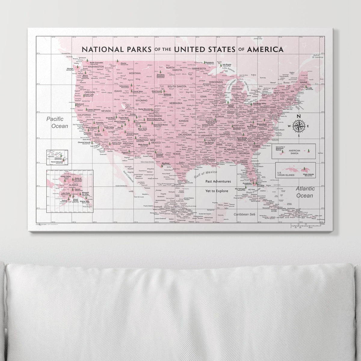 Push Pin National Parks Map - Pink Color Splash - Pins Included!