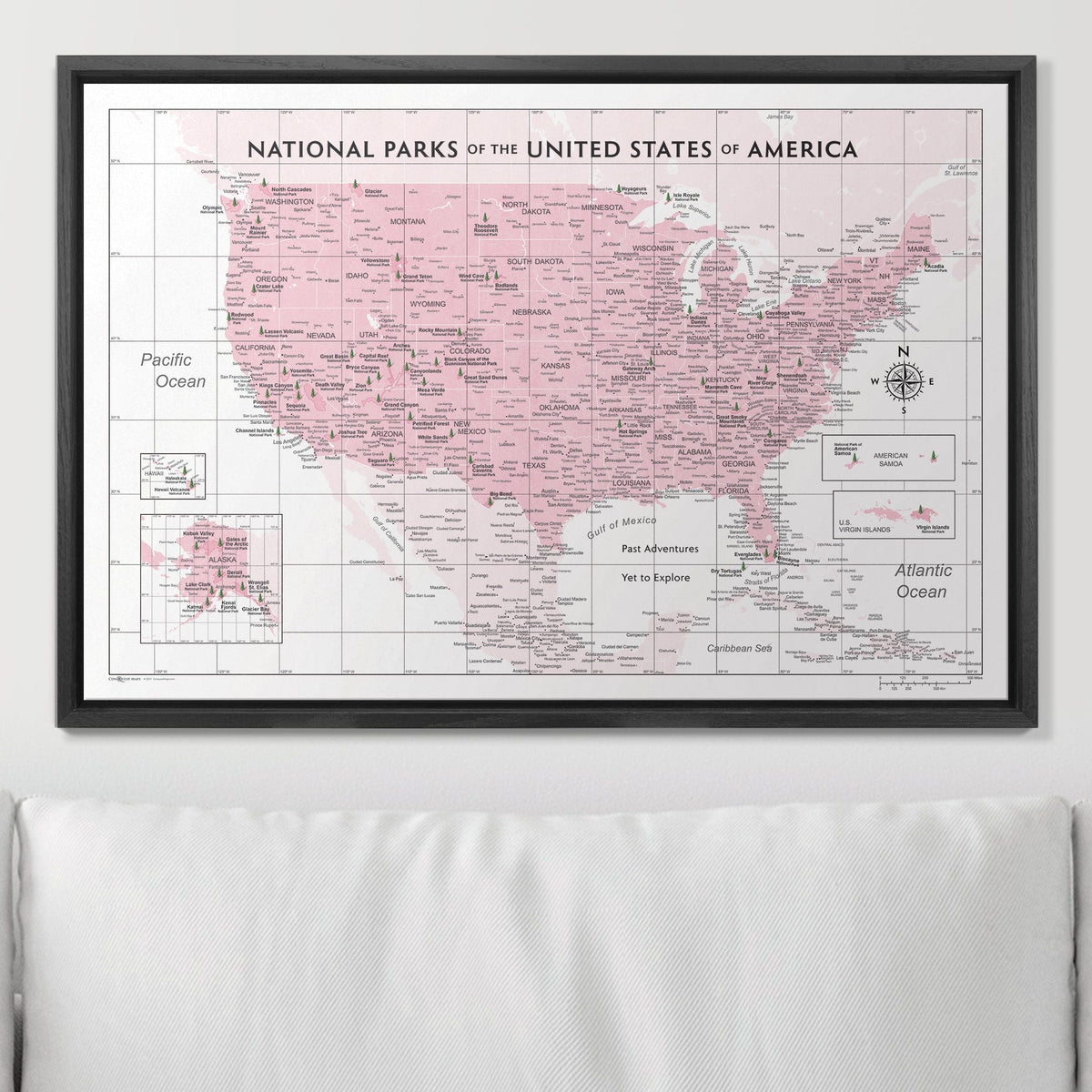 Push Pin National Parks Map - Pink Color Splash - Pins Included!