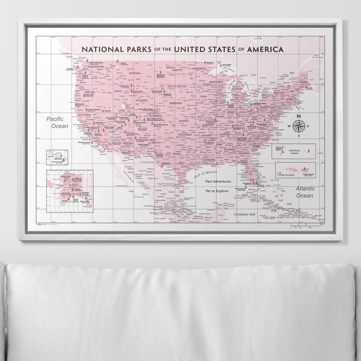 Push Pin National Parks Map - Pink Color Splash - Pins Included!