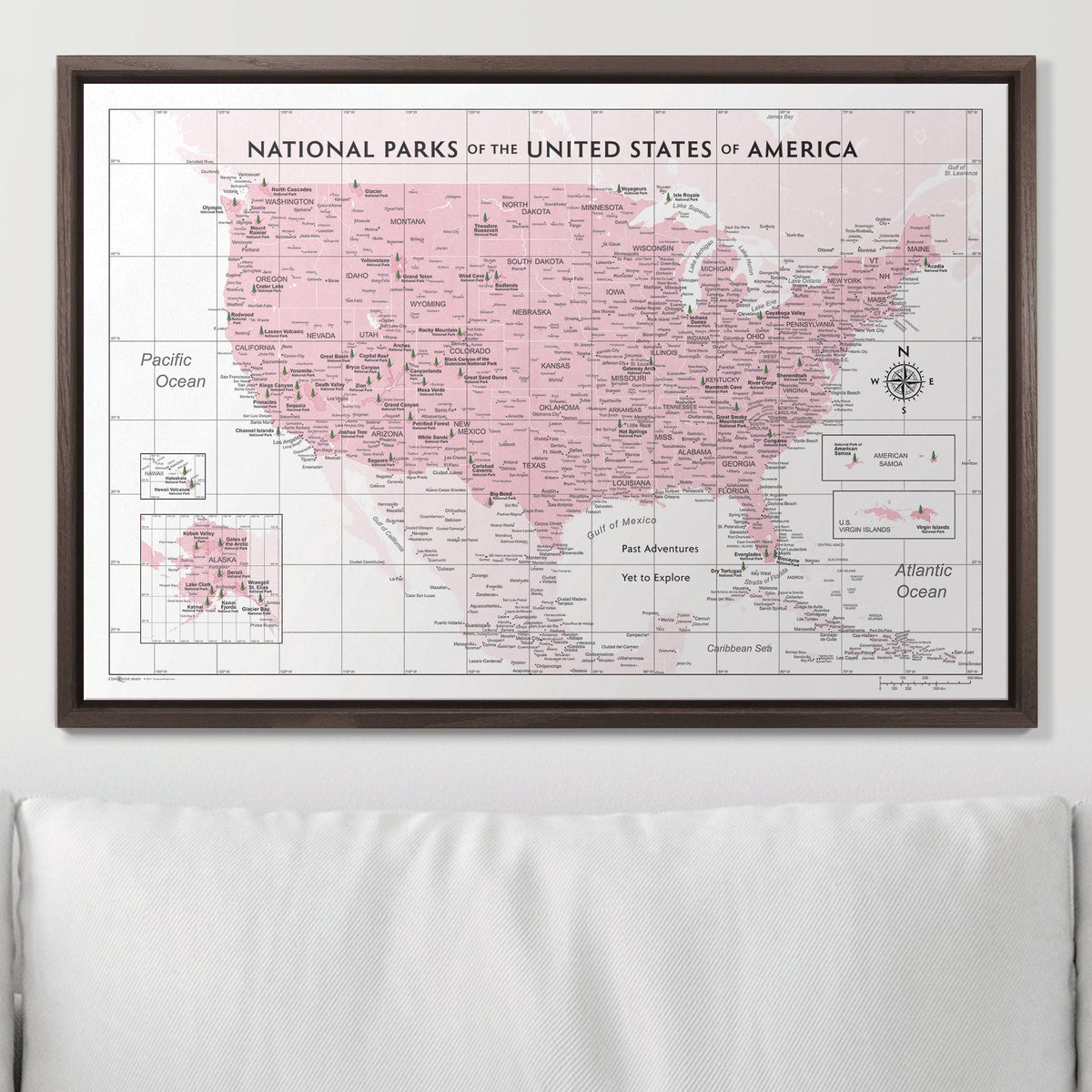Push Pin National Parks Map - Pink Color Splash - Pins Included!