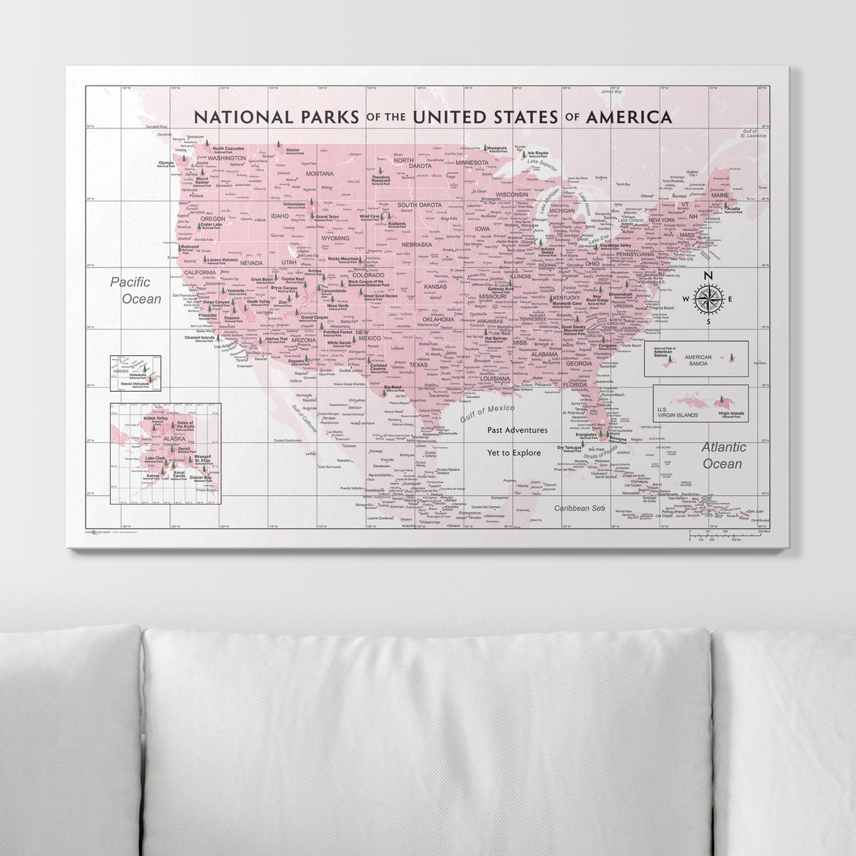 Push Pin National Parks Map - Pink Color Splash - Pins Included!