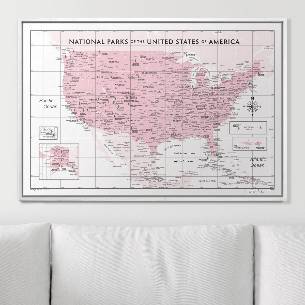 Push Pin National Parks Map - Pink Color Splash - Pins Included!