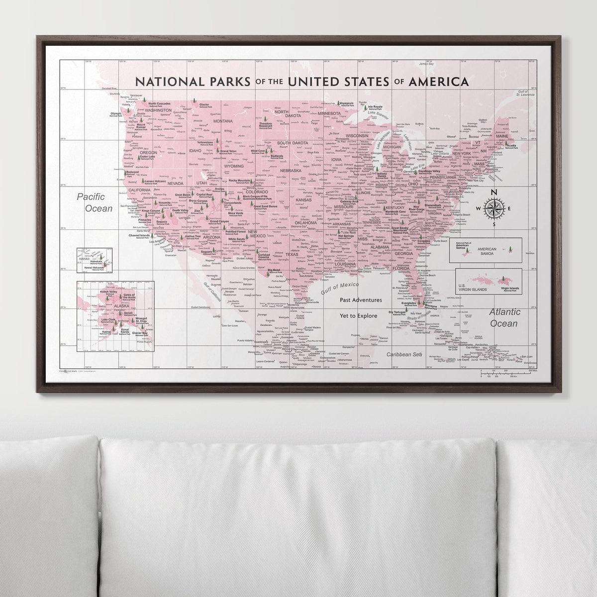 Push Pin National Parks Map - Pink Color Splash - Pins Included!
