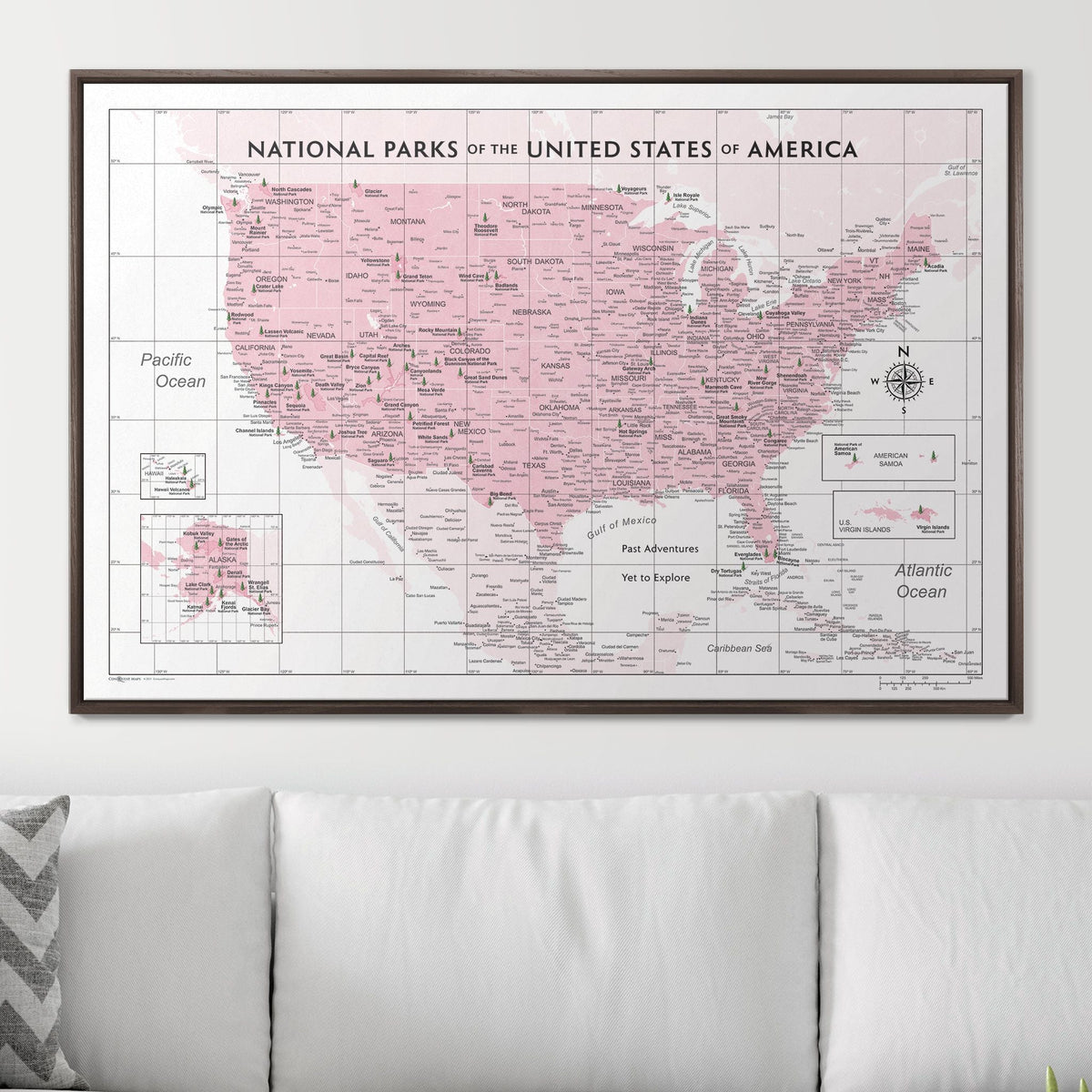 Push Pin National Parks Map - Pink Color Splash - Pins Included!