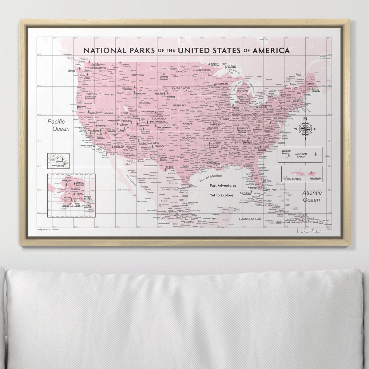 Push Pin National Parks Map - Pink Color Splash - Pins Included!