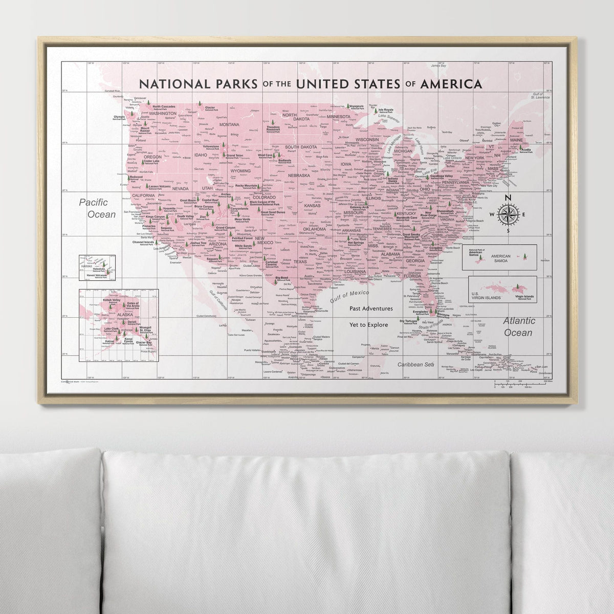 Push Pin National Parks Map - Pink Color Splash - Pins Included!