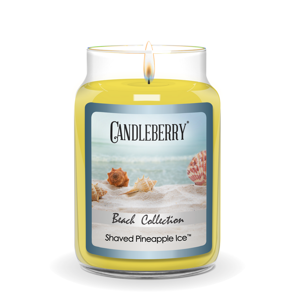 Beach Collection - Shaved Pineapple Ice™, Large Jar Candle