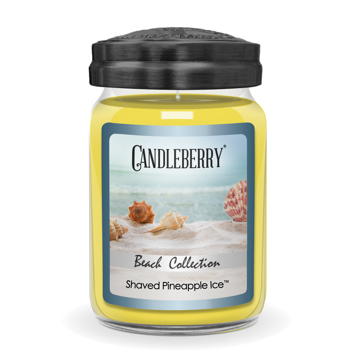 Beach Collection - Shaved Pineapple Ice™, Large Jar Candle