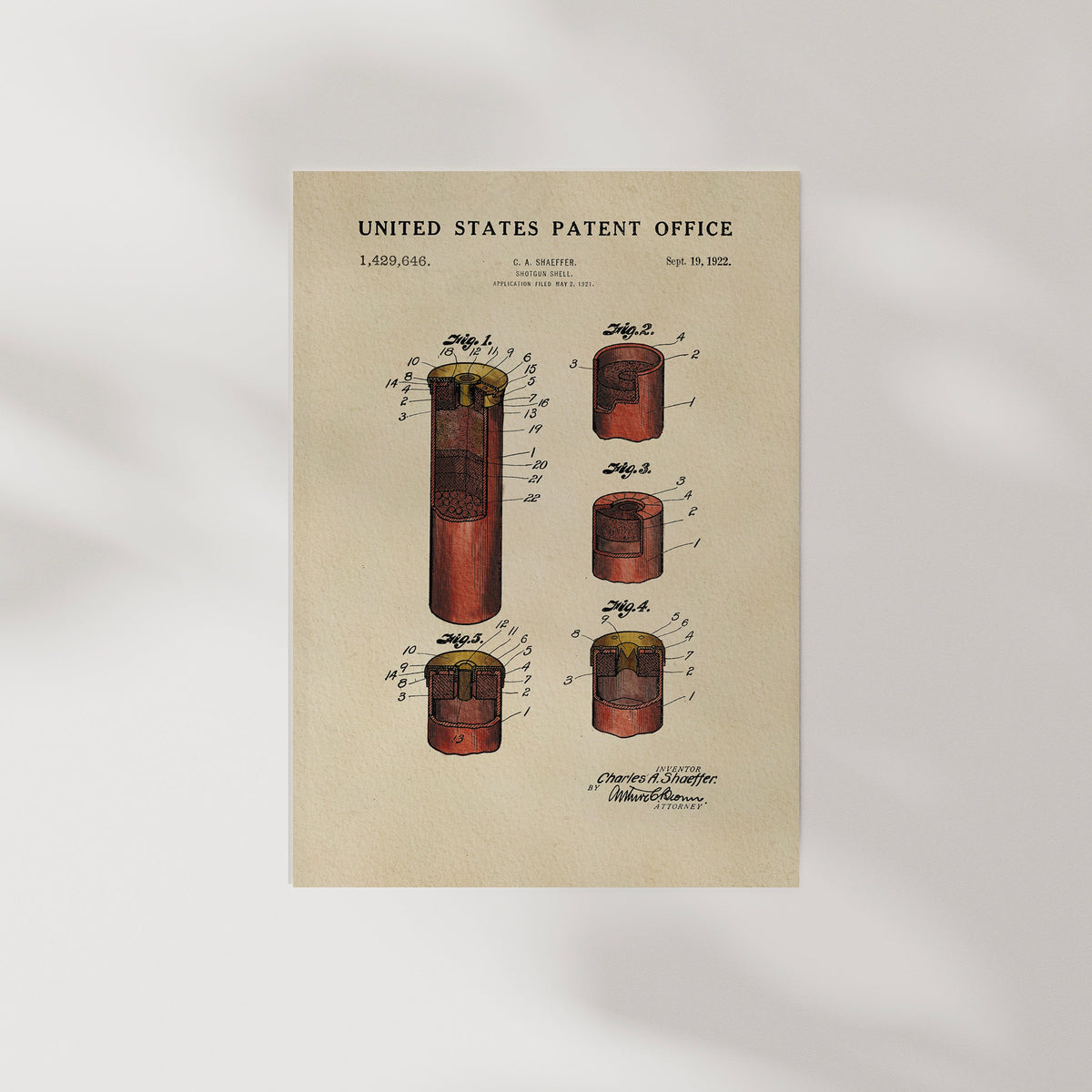 Shotgun Shell