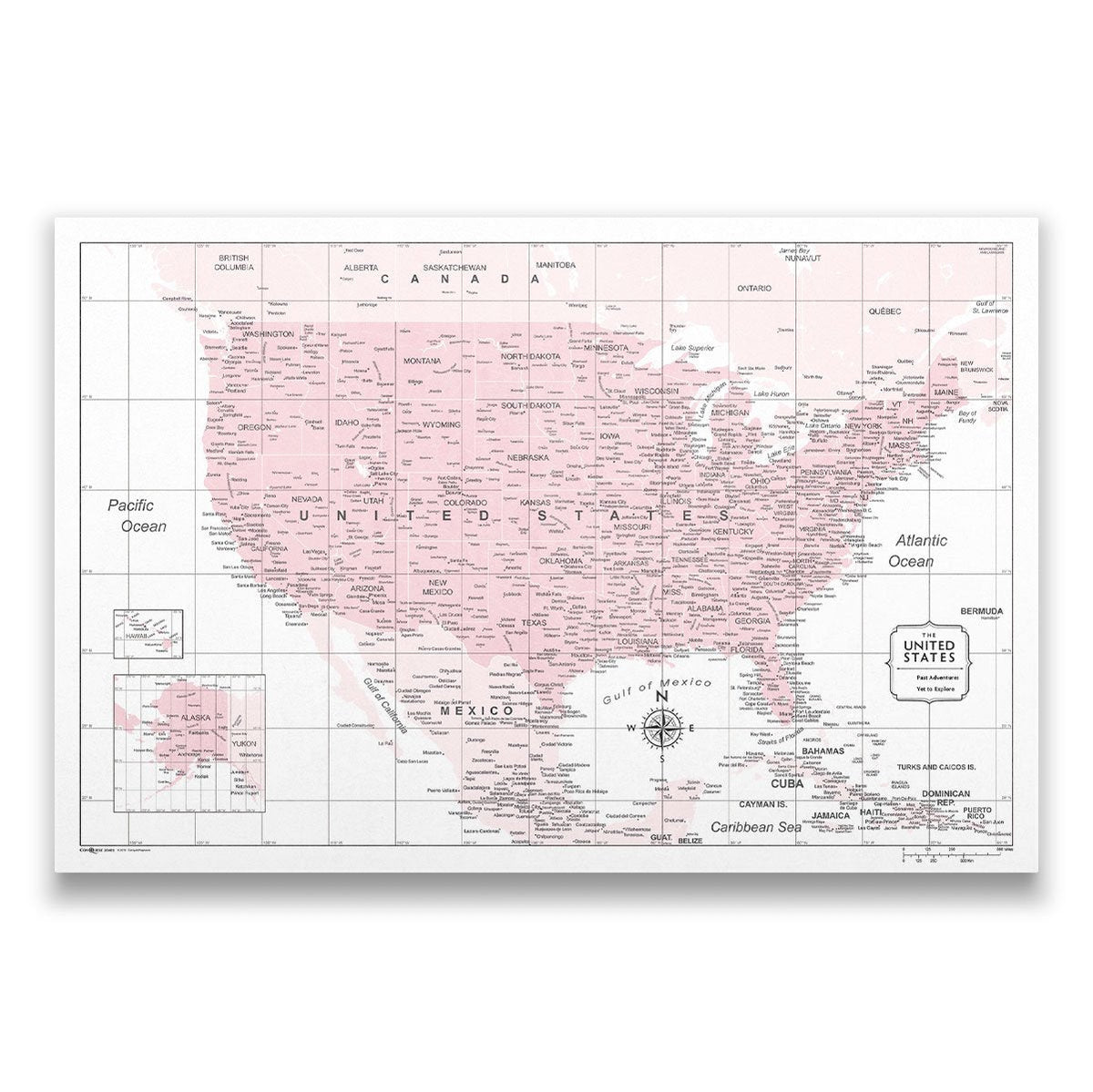 Push Pin USA Map Pin Board - Pink Color Splash - Pins Included!