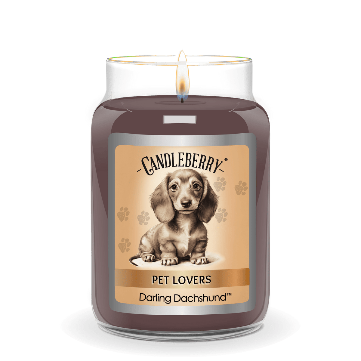 Darling Dachshund - Large Jar Candle