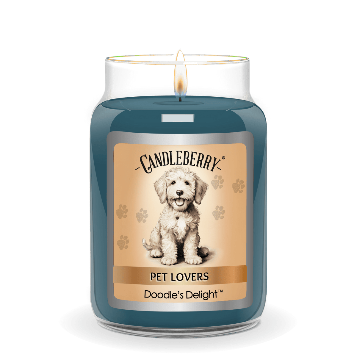 Doodle's Delight - Large Jar Candle