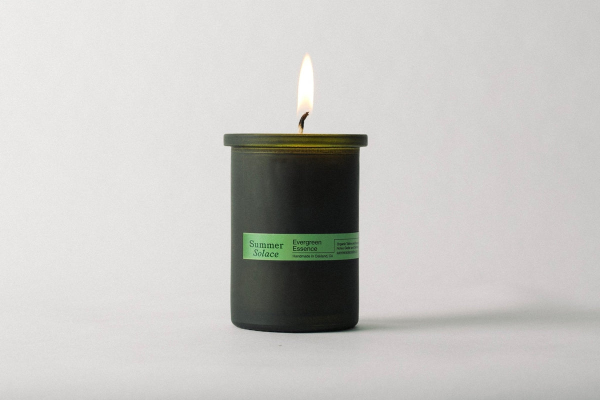 Evergreen Essence – Cedar & Oakmoss Candle | 6 oz Tallow & Beeswax