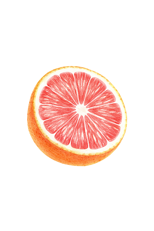 Dish Soap | Pink Grapefruit