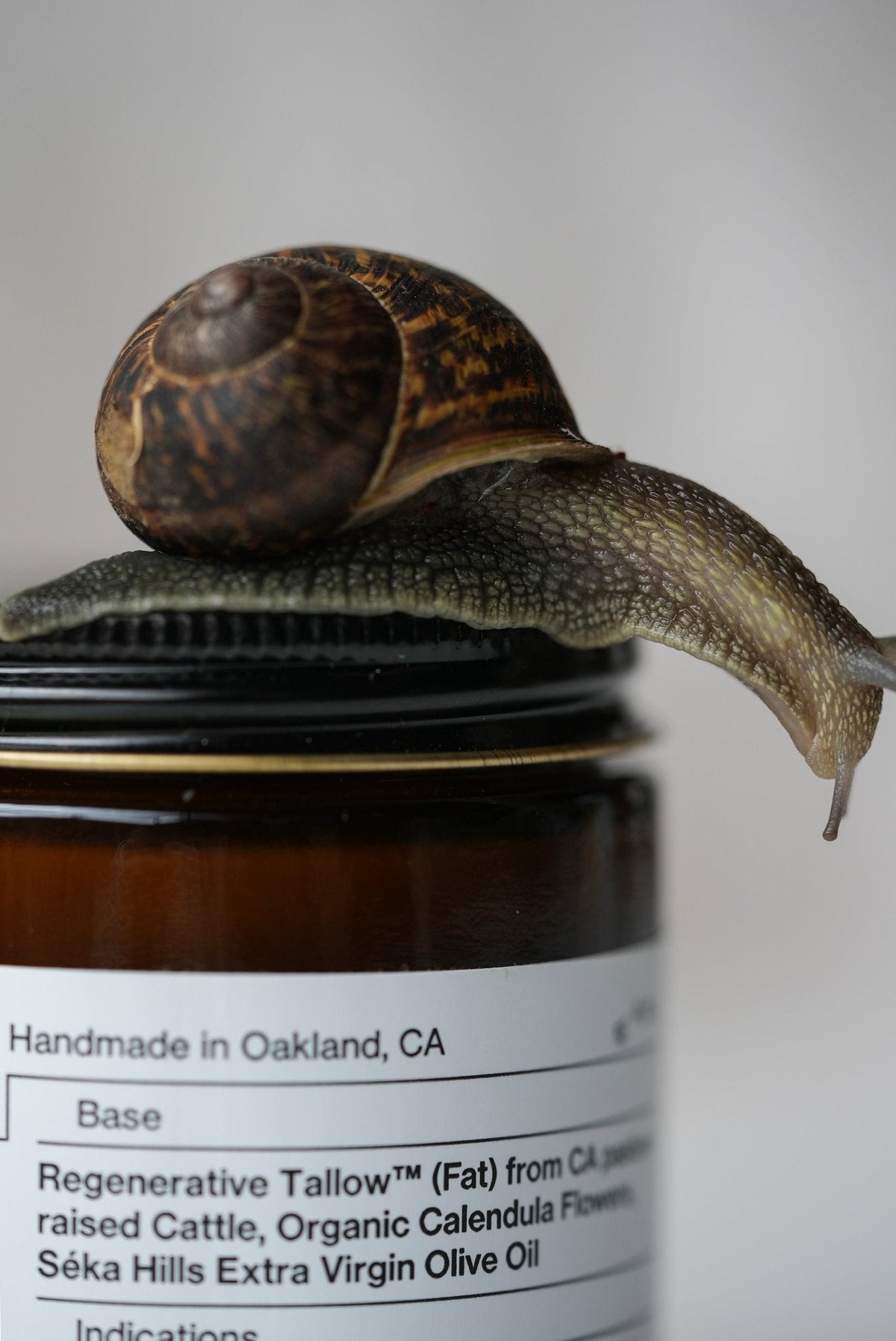 Pure Unscented – Regenerative Tallow® Balm | Sensitive Skin