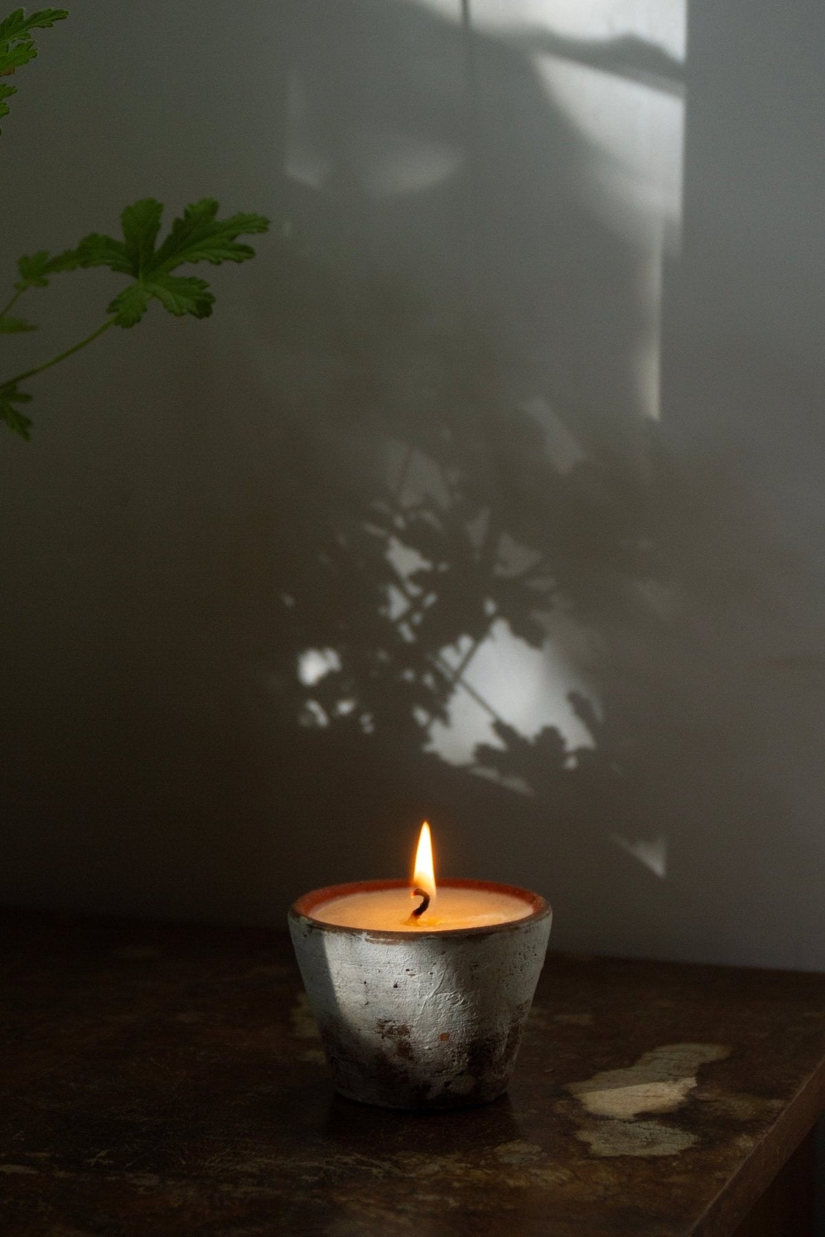 Souchong Debut Earthen Tallow Candle – Smoke-Brushed Terracotta Vessel